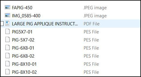 PDF Instruction File