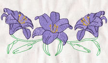 Iris