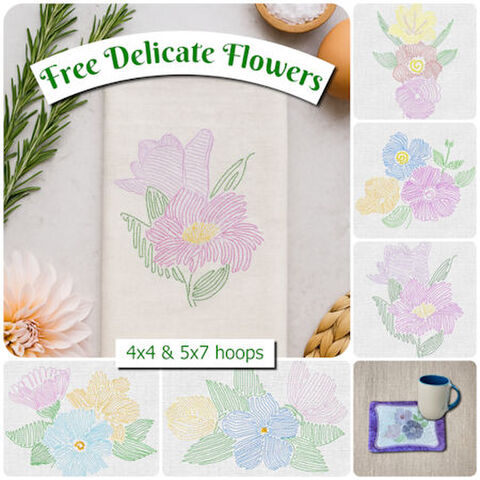 Free Delicate Flowers